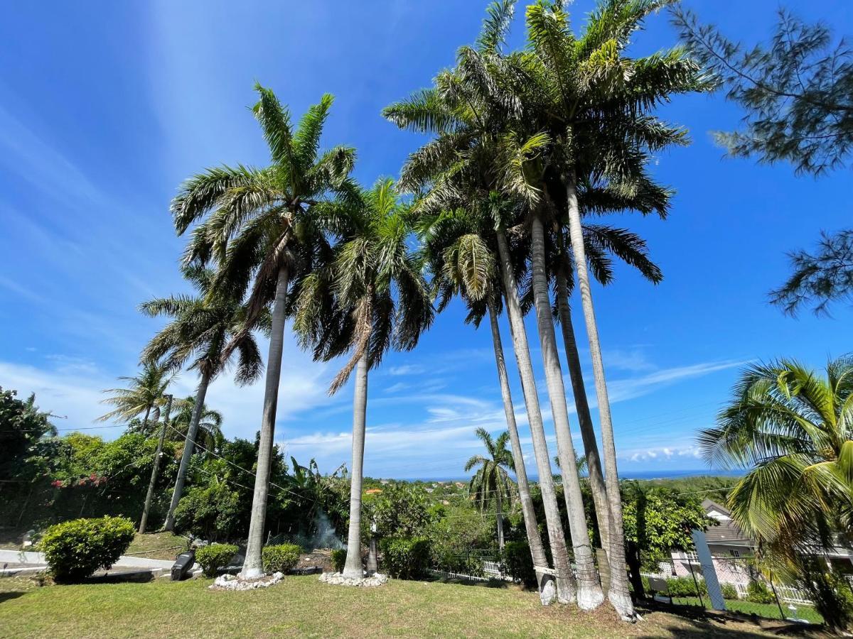 Peaceful Palms Montego Bay Hotel Exterior foto