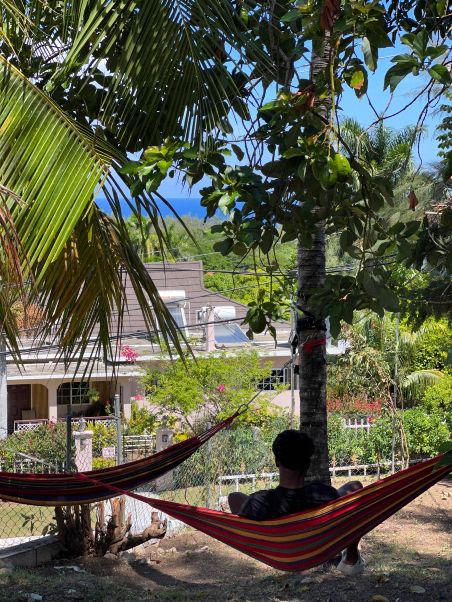 Peaceful Palms Montego Bay Hotel Exterior foto